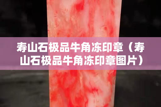 壽山石極品牛角凍印章（壽山石極品牛角凍印章圖片）