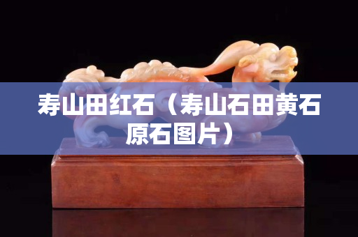 壽山田紅石（壽山石田黃石原石圖片）