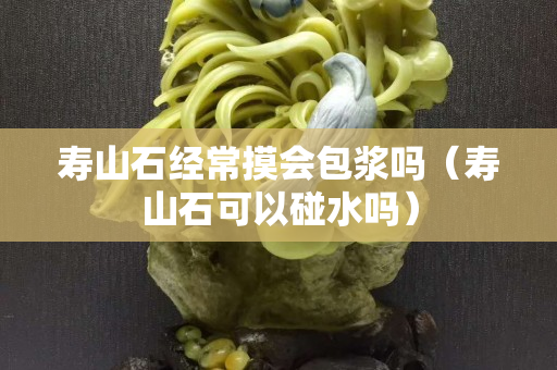 壽山石經常摸會包漿嗎（壽山石可以碰水嗎）