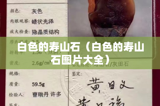 白色的壽山石（白色的壽山石圖片大全）