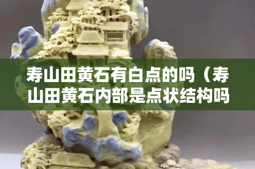 壽山田黃石有白點的嗎（壽山田黃石內部是點狀結構嗎）