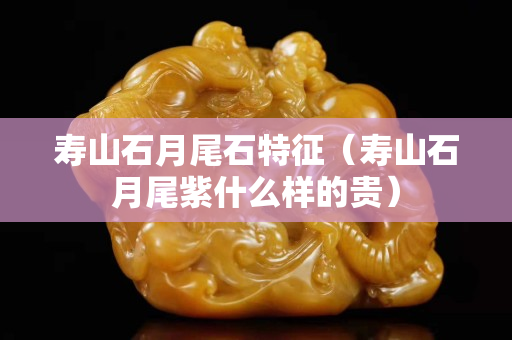 壽山石月尾石特征（壽山石月尾紫什么樣的貴）