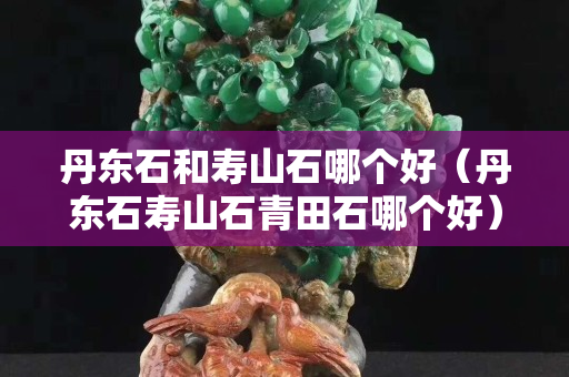 丹東石和壽山石哪個好（丹東石壽山石青田石哪個好）