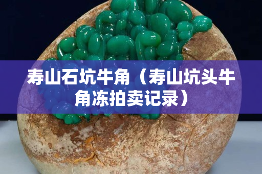 壽山石坑牛角（壽山坑頭牛角凍拍賣(mài)記錄）