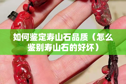如何鑒定壽山石品質（怎么鑒別壽山石的好壞）