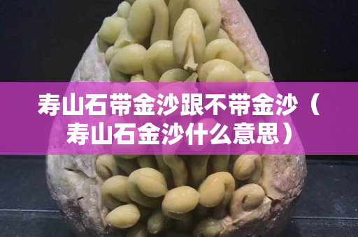 壽山石帶金沙跟不帶金沙（壽山石金沙什么意思）