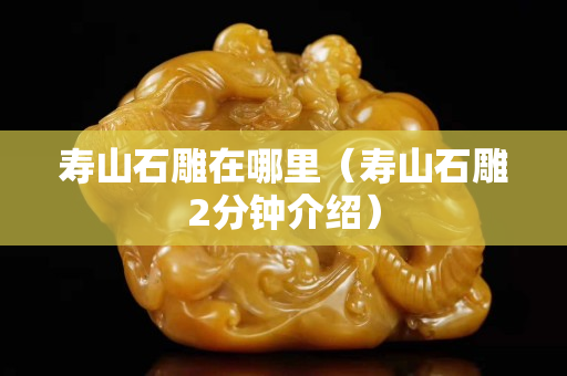 壽山石雕在哪里（壽山石雕2分鐘介紹）