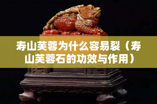 壽山芙蓉為什么容易裂（壽山芙蓉石的功效與作用）