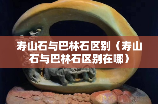 壽山石與巴林石區別（壽山石與巴林石區別在哪）