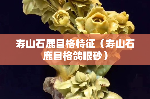 壽山石鹿目格特征（壽山石鹿目格鴿眼砂）