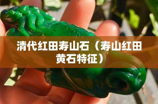 清代紅田壽山石（壽山紅田黃石特征）
