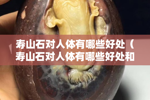 壽山石對人體有哪些好處（壽山石對人體有哪些好處和功效）