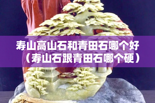 壽山高山石和青田石哪個好（壽山石跟青田石哪個硬）