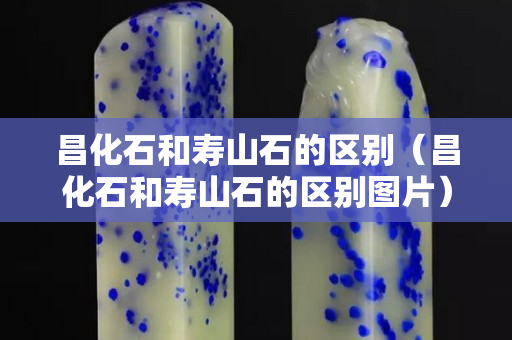 昌化石和壽山石的區(qū)別（昌化石和壽山石的區(qū)別圖片）
