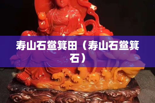 壽山石鱟箕田（壽山石鱟箕石）