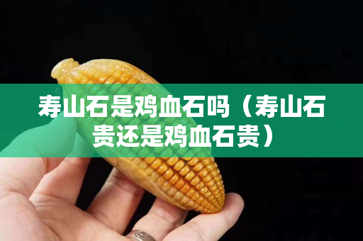 壽山石是雞血石嗎（壽山石貴還是雞血石貴）
