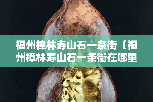福州樟林壽山石一條街（福州樟林壽山石一條街在哪里）
