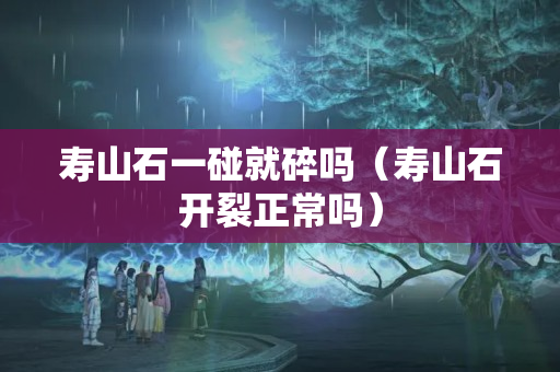 壽山石一碰就碎嗎（壽山石開裂正常嗎）