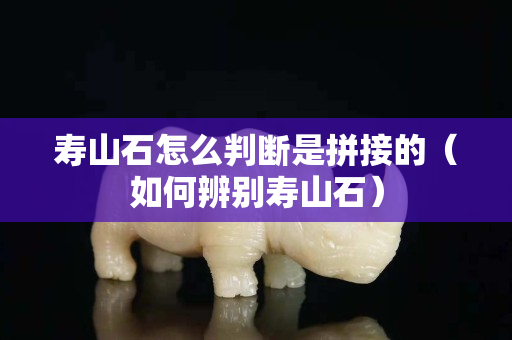 壽山石怎么判斷是拼接的（如何辨別壽山石）