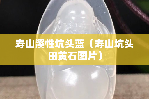 壽山溪性坑頭藍(lán)（壽山坑頭田黃石圖片）