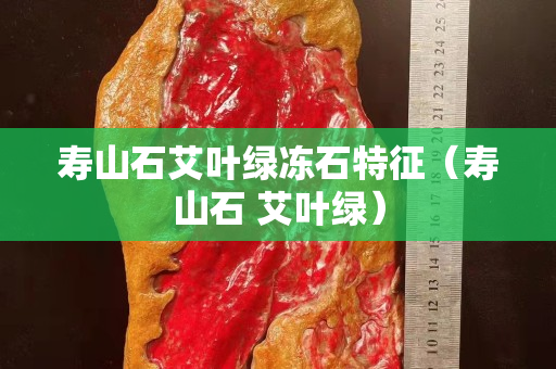 壽山石艾葉綠凍石特征（壽山石 艾葉綠）