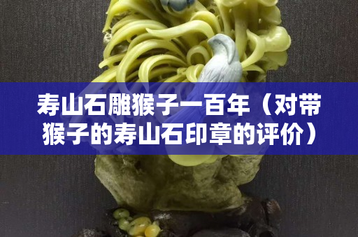 壽山石雕猴子一百年（對帶猴子的壽山石印章的評價）