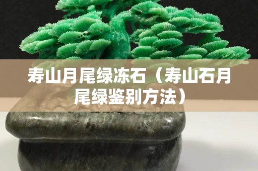 壽山月尾綠凍石（壽山石月尾綠鑒別方法）