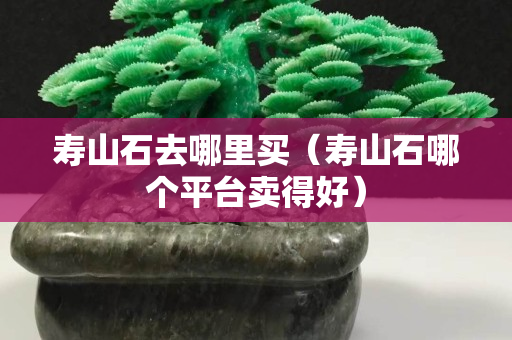 壽山石去哪里買（壽山石哪個平臺賣得好）