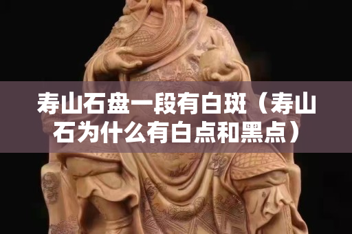 壽山石盤一段有白斑（壽山石為什么有白點(diǎn)和黑點(diǎn)）