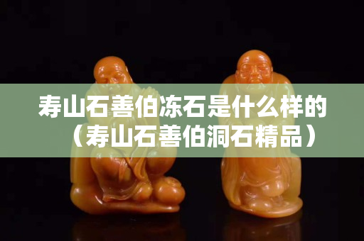 壽山石善伯凍石是什么樣的（壽山石善伯洞石精品）