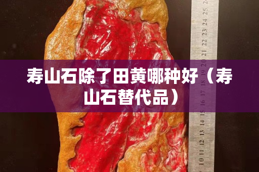 壽山石除了田黃哪種好（壽山石替代品）