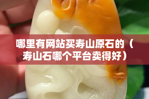 哪里有網站買壽山原石的（壽山石哪個平臺賣得好）