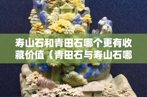 壽山石和青田石哪個更有收藏價值（青田石與壽山石哪個更適合刻印章）