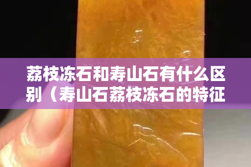 荔枝凍石和壽山石有什么區別（壽山石荔枝凍石的特征）