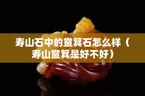 壽山石中的鱟箕石怎么樣（壽山鱟箕是好不好）