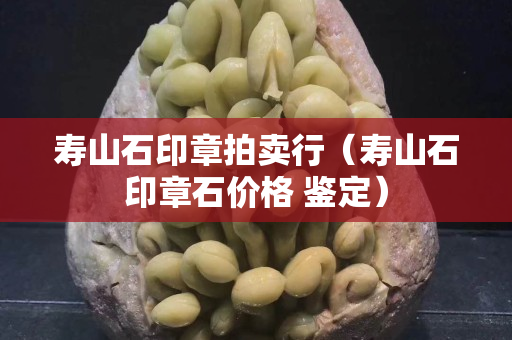 壽山石印章拍賣行（壽山石印章石價格 鑒定）