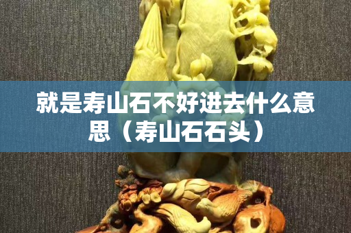 就是壽山石不好進去什么意思（壽山石石頭）