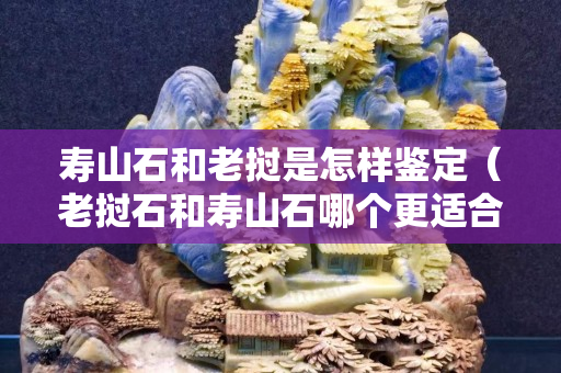 壽山石和老撾是怎樣鑒定（老撾石和壽山石哪個更適合刻章）