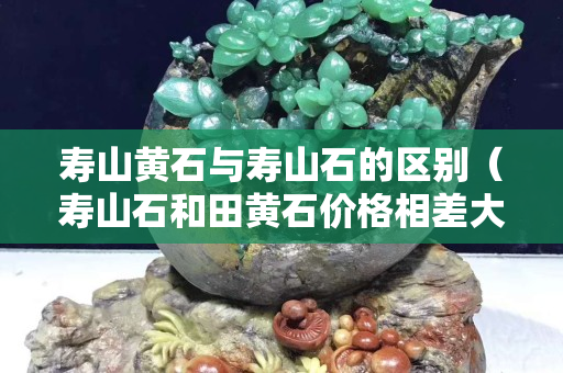 壽山黃石與壽山石的區別（壽山石和田黃石價格相差大嗎）