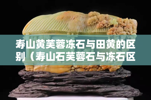 壽山黃芙蓉凍石與田黃的區(qū)別（壽山石芙蓉石與凍石區(qū)別）