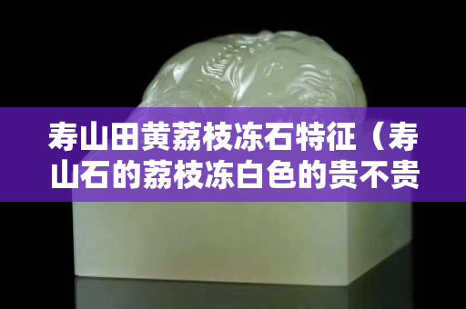 壽山田黃荔枝凍石特征（壽山石的荔枝凍白色的貴不貴）