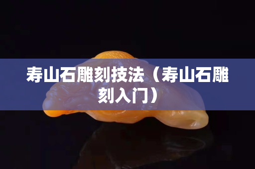 壽山石雕刻技法（壽山石雕刻入門）