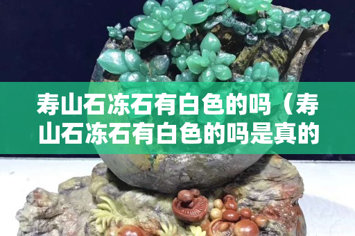 壽山石凍石有白色的嗎（壽山石凍石有白色的嗎是真的嗎）