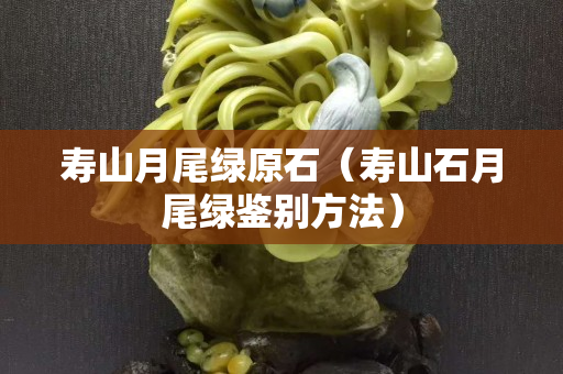 壽山月尾綠原石（壽山石月尾綠鑒別方法）