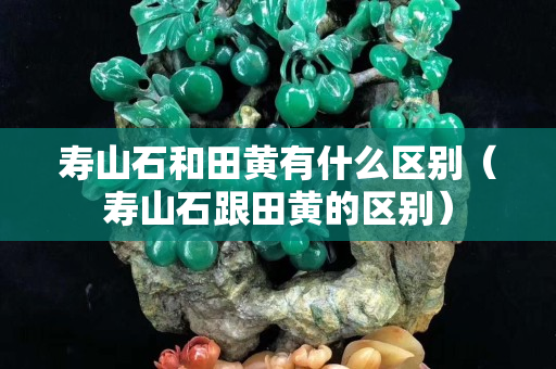 壽山石和田黃有什么區別（壽山石跟田黃的區別）