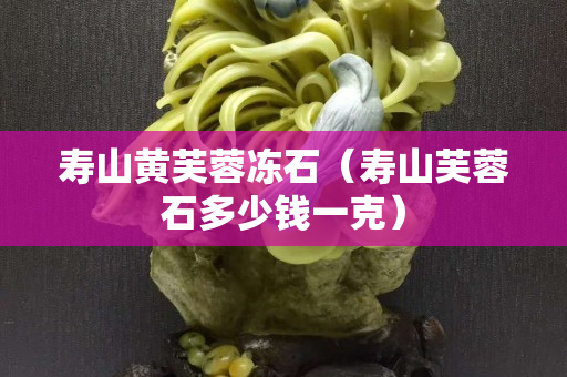 壽山黃芙蓉凍石（壽山芙蓉石多少錢一克）