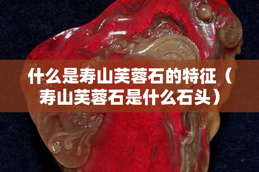 什么是壽山芙蓉石的特征（壽山芙蓉石是什么石頭）