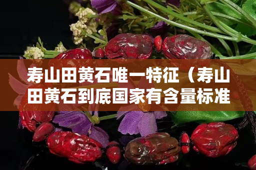 壽山田黃石唯一特征（壽山田黃石到底國家有含量標準嗎）