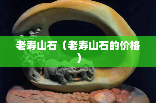 老壽山石（老壽山石的價格）