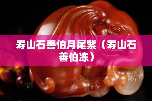 壽山石善伯月尾紫（壽山石善伯凍）